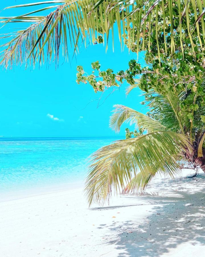 Rising Sun Beach View Thinadhoo  Dış mekan fotoğraf